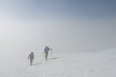 GrosseWindschar_2015-3